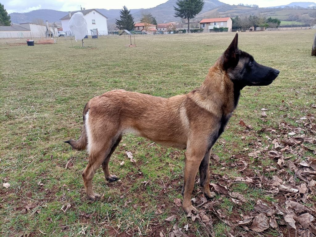 Syska Du Second Souffle